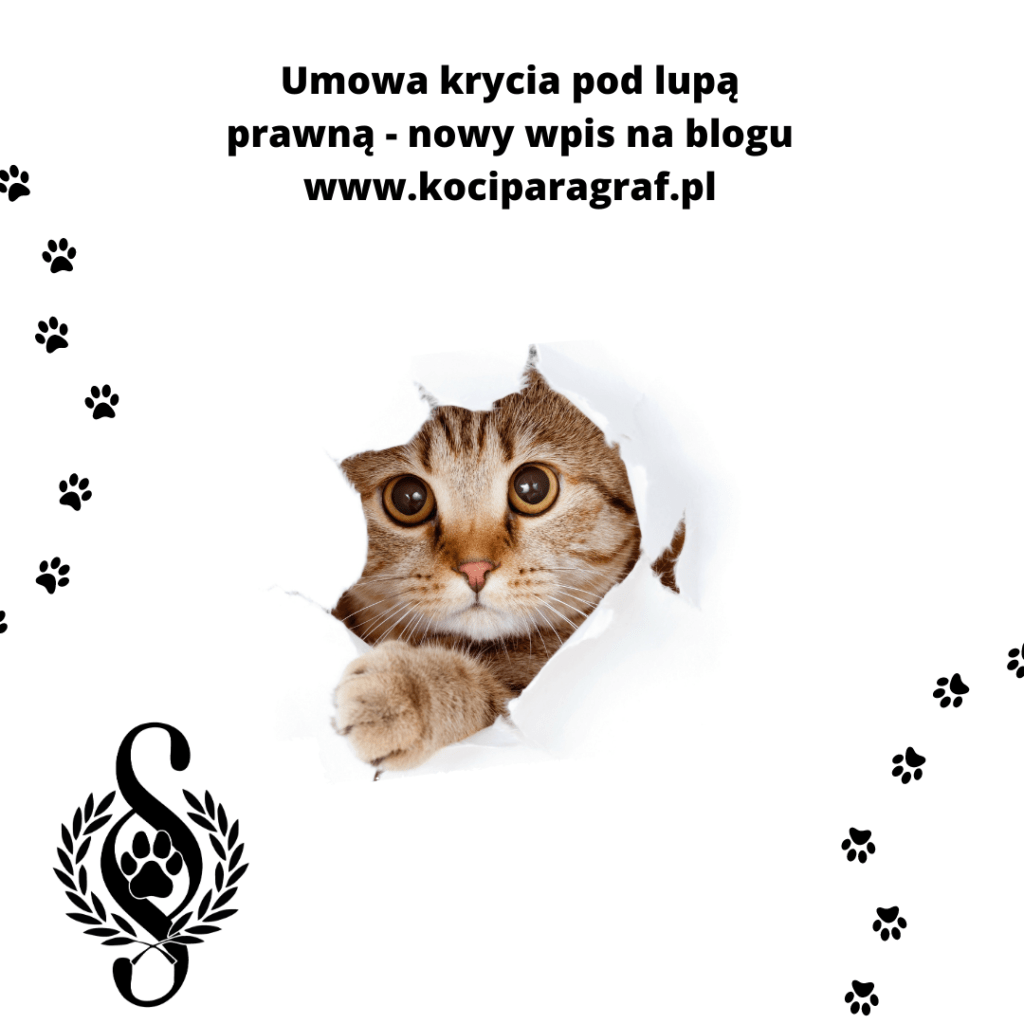 Umowa krycia