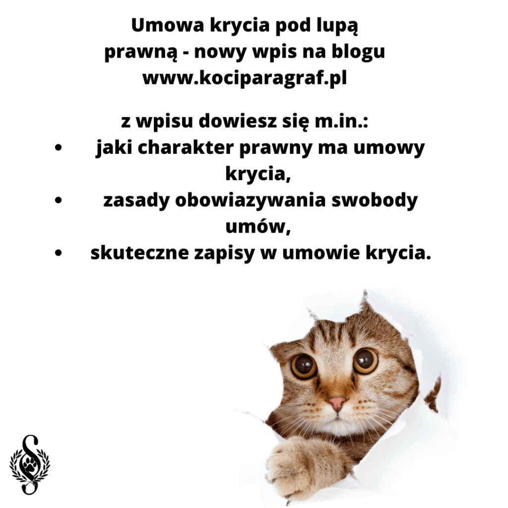 Umowa krycia