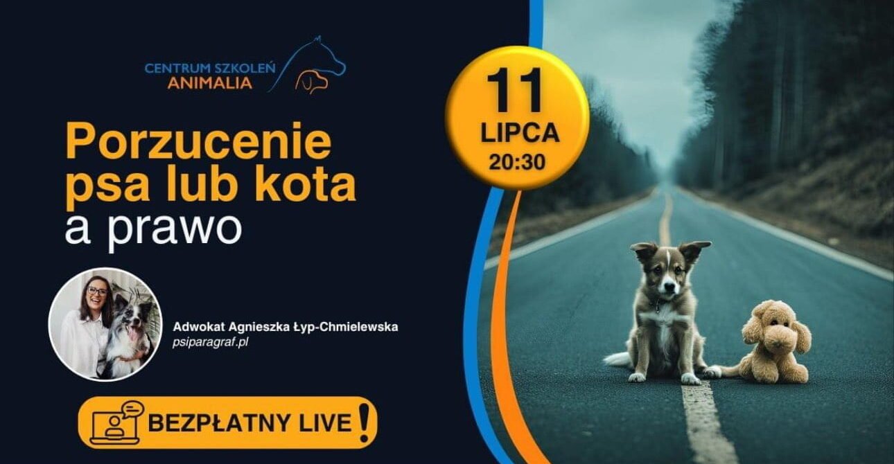 Porzucenie psa lub kota a prawo