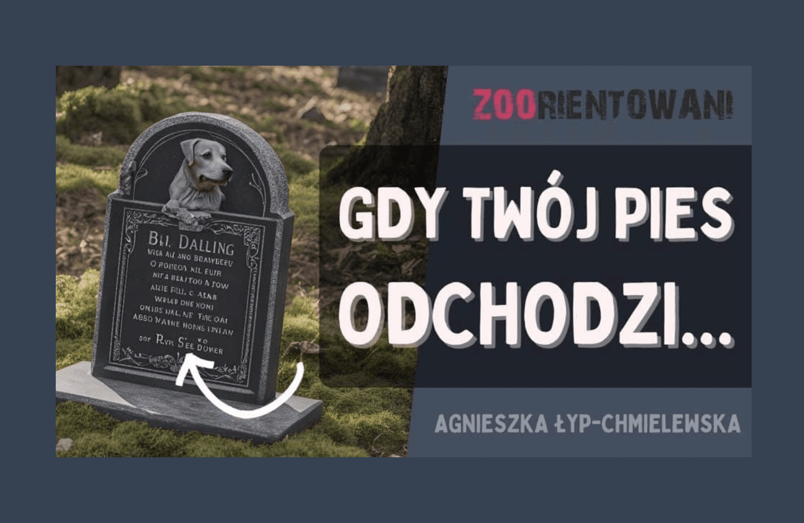 Pochówek kota i psa