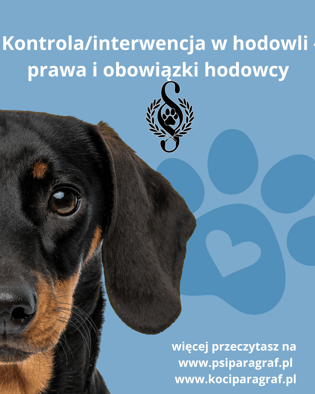 „Czy mogą mi odebrać koty” – kilka słów o kontroli/interwencji w hodowli