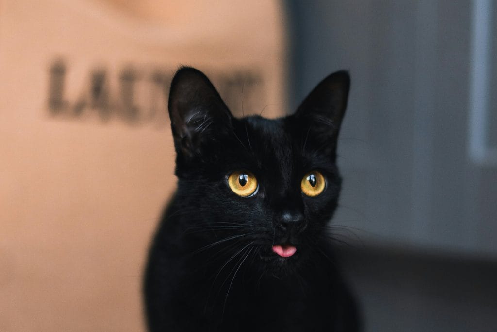 Rejestracja hodowli w PIW