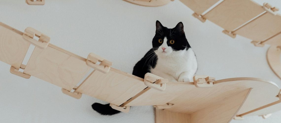 Jesteśmy już na TikToku