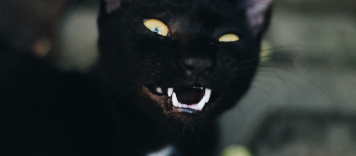 Już działa - SKLEP na blogu