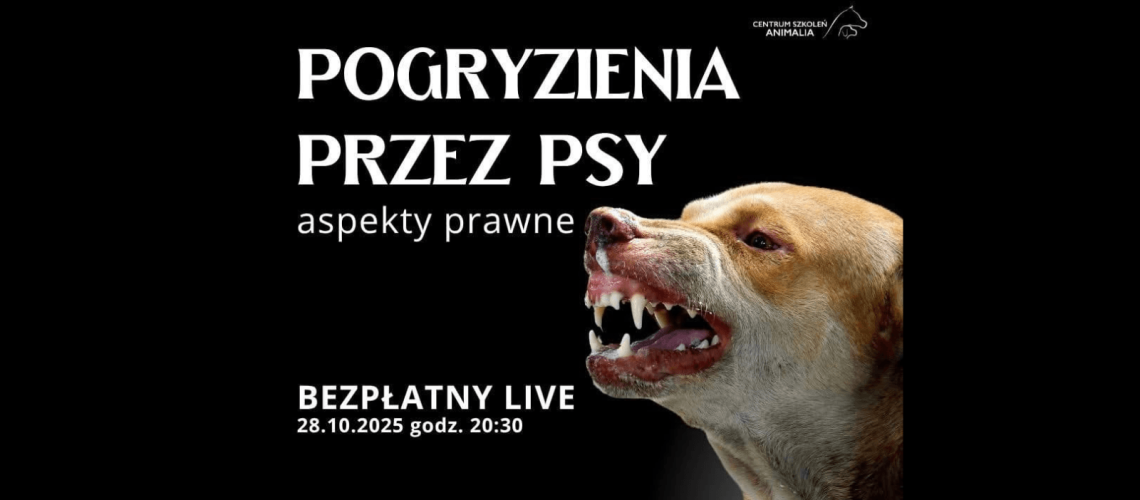 Pogryzienia przez psa Pogryzienia przez psa