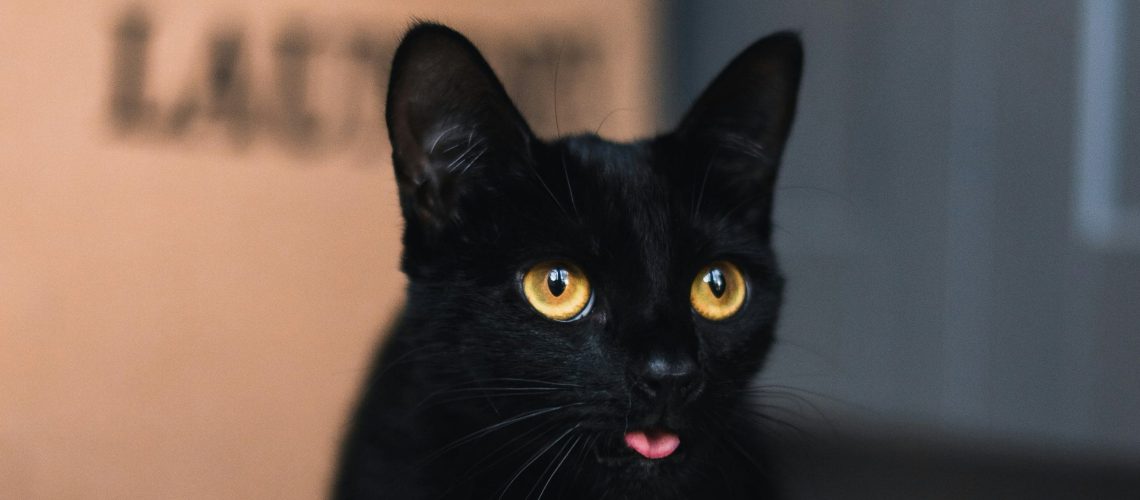 Rejestracja hodowli w PIW