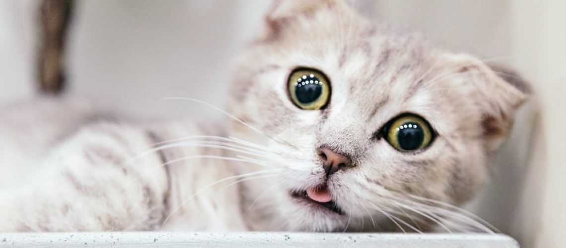 Szkolenie prawne online z odpowiedzialności sprzedającego za wady – 12.03. 2023 r. godz. 18.00